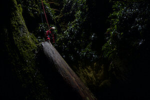 Abseiling on to a log
