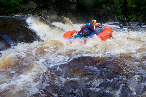 Rafters paddling a large recirculating rapid