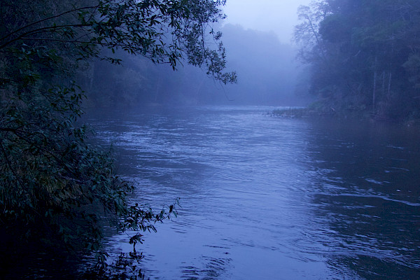 River shrouded in mist
