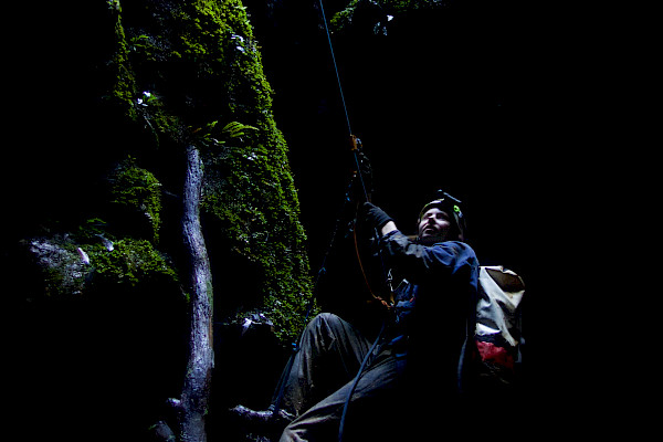 Female climbing a rope up a moss covered cliff