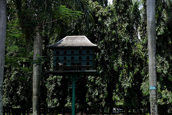 Bird house in Jakarta
