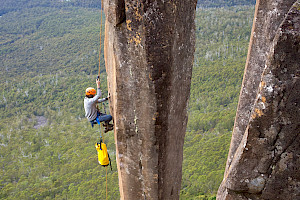 Picture of person climbing up a pillar of rock.