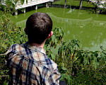 Looking at the green water of the pond