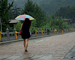 Woman with umbrella walking along a path
