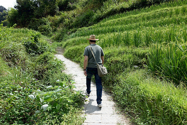 Person walking along a narrow path through a grassy area