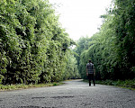 Person walking along a wide path surrounded by trees