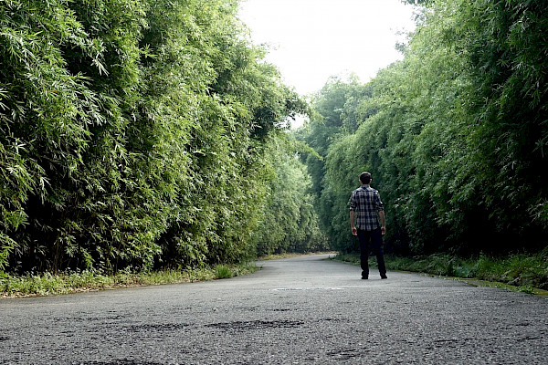 Person walking along a wide path surrounded by trees